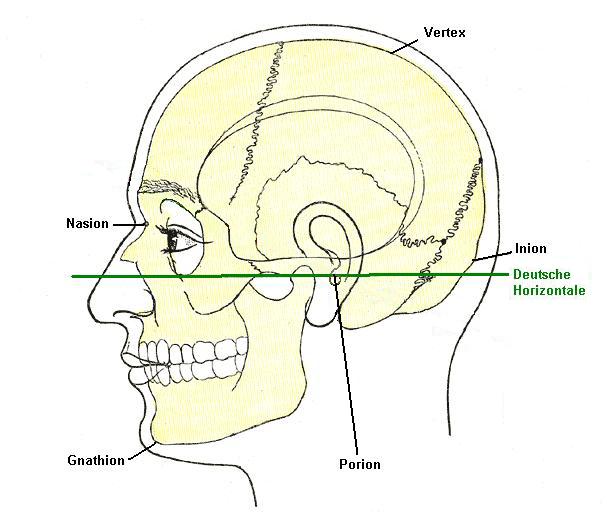 Von Der ursprünglich hochladende Benutzer war MBq in der Wikipedia auf Deutsch - Henry Gray (1825–1861). Anatomy of the Human Body. 1918., Gemeinfrei, https://commons.wikimedia.org/w/index.php?curid=11794362