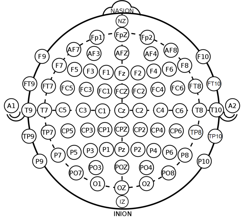 Von Brylie Christopher Oxley - https://commons.wikimedia.org/wiki/File:International_10-20_system_for_EEG-MCN.svg, CC0, https://commons.wikimedia.org/w/index.php?curid=86731792